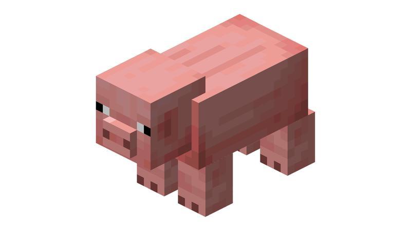 Pig in Minecraft Game vs Movie