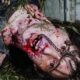 Reddit Hand-Picks 6 Horror Movies That Are as Unpredictable as They Are Scary (No Spoilers!)