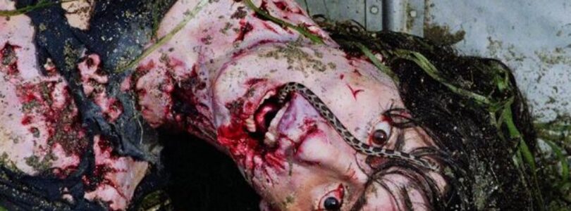 Reddit Hand-Picks 6 Horror Movies That Are as Unpredictable as They Are Scary (No Spoilers!)