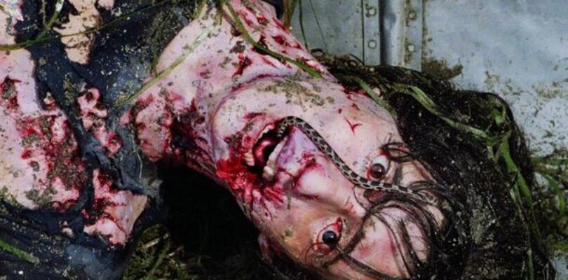 Reddit Hand-Picks 6 Horror Movies That Are as Unpredictable as They Are Scary (No Spoilers!)