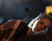 Sting is an enjoyably camp horror effort that backs its gross effects with some emotional heft: Gold Coast Film Festival … – the AU review