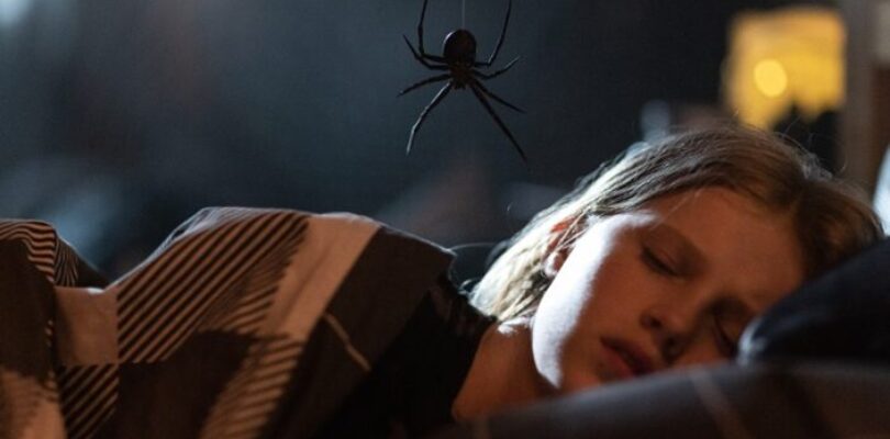 Sting is an enjoyably camp horror effort that backs its gross effects with some emotional heft: Gold Coast Film Festival … – the AU review