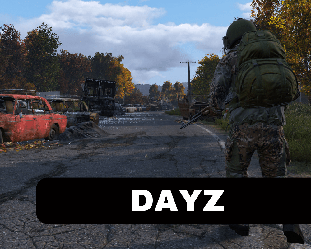 DayZ game server banner. v2